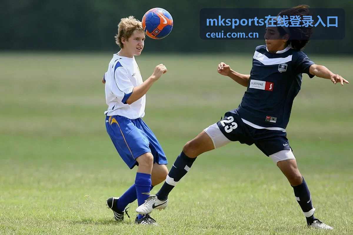 mksports在线登录入口客户端界面预览