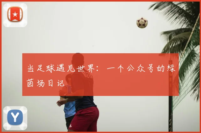 当足球遇见世界:一个公众号的绿茵场日记