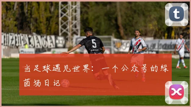 当足球遇见世界:一个公众号的绿茵场日记
