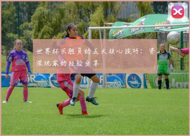 世界杯买胜负的五大核心技巧:资深玩家的经验分享